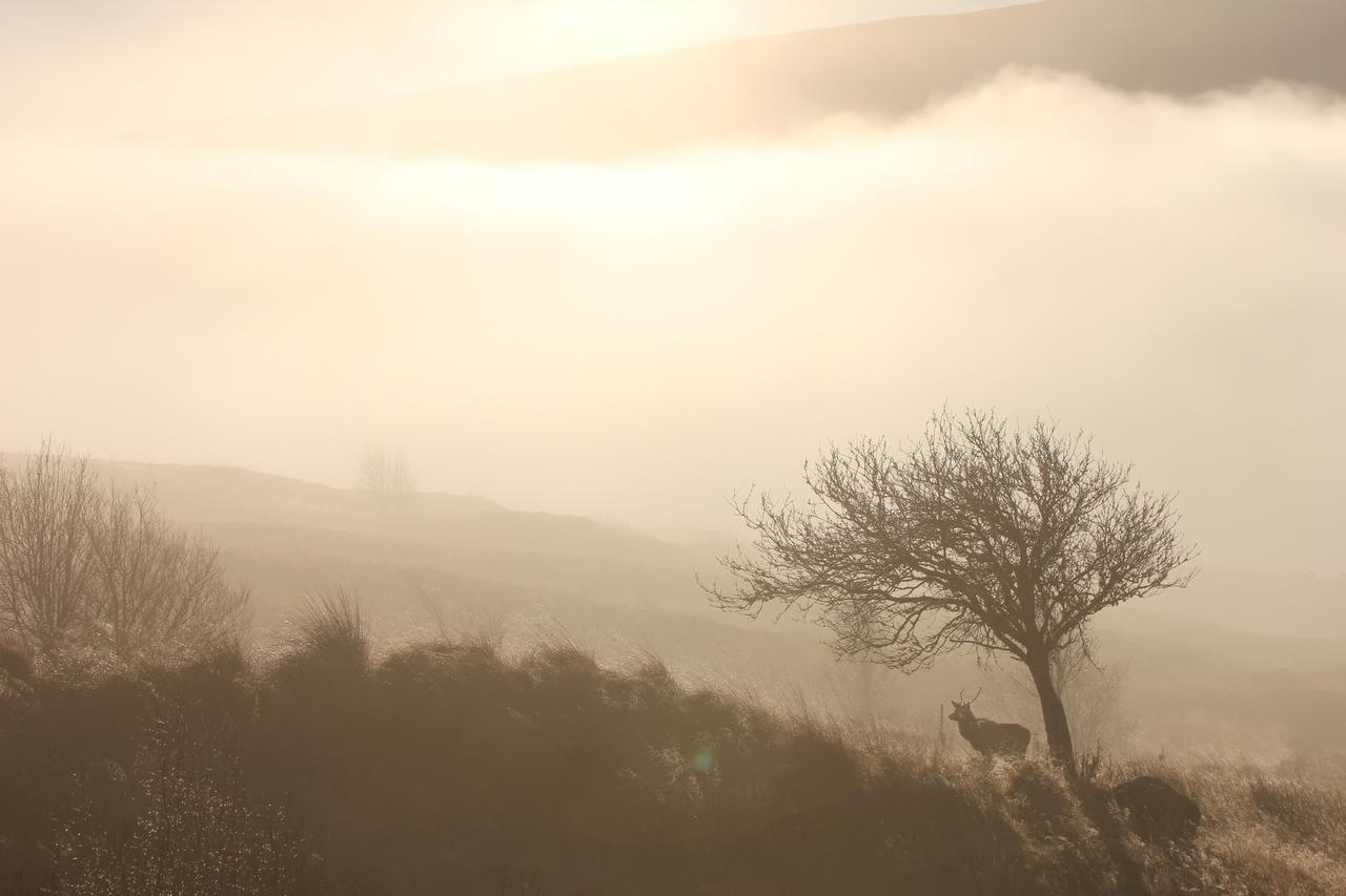 Oak Lodge Bed And Breakfast Overscaig Exteriér fotografie
